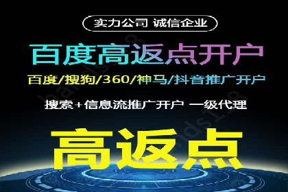 百度竞价推广在电商领域的赚钱案例